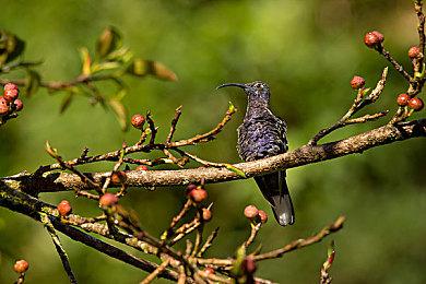 《小小梦魇3》发售日泄露！或于9月15日上线
